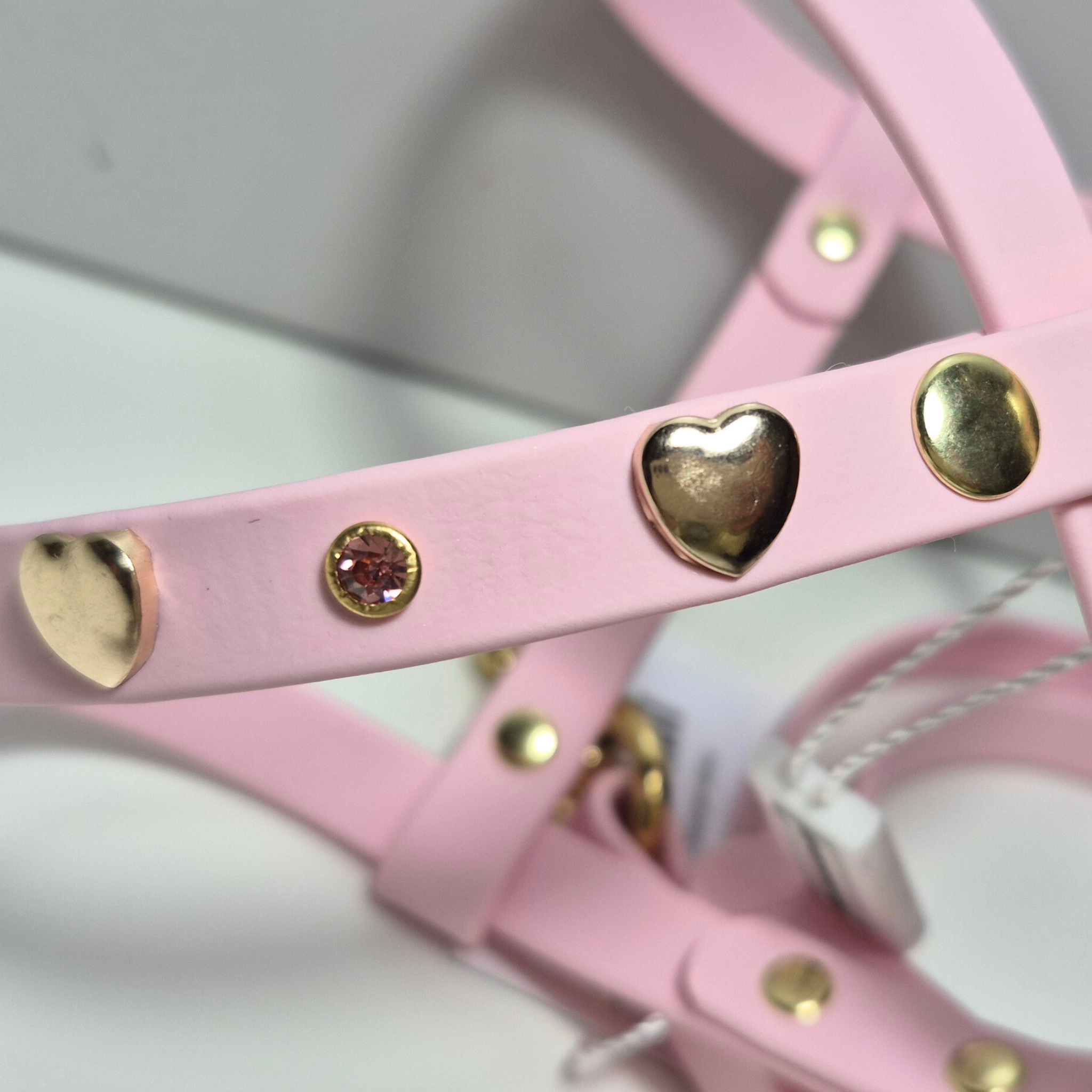 Pettorina per Cani in Biothane Light Gold